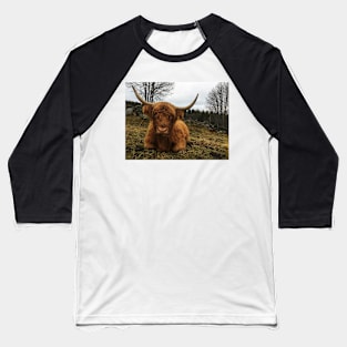 Scottish Highland Cattle Cow 2167 Baseball T-Shirt